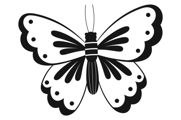 Decorative Butterfly Drawing. Summer Nat: A Fresh Design Asset