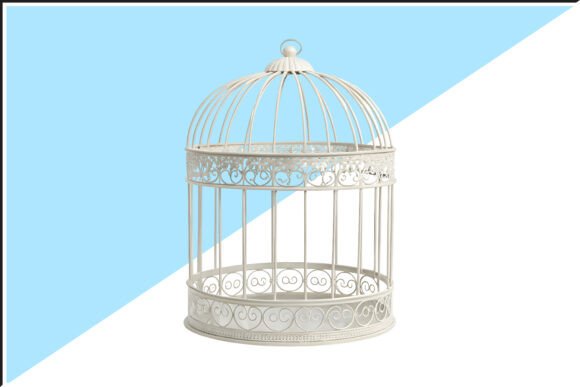 Ornate White Decorative Birdcage PNG: A Designer's Guide to Elegant Motifs