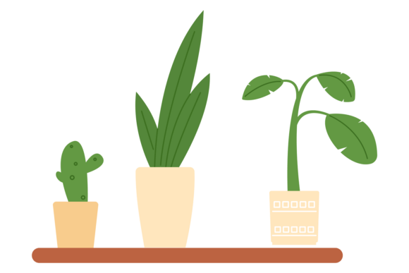 Styling Your Space with a Decorative Green Home Garden Shelf